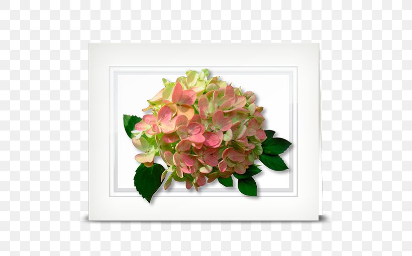 Hydrangea Cut Flowers Floral Design Floristry, PNG, 510x510px, Hydrangea, Cornales, Cut Flowers, Floral Design, Floristry Download Free