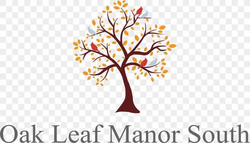 Oak Leaf Manor South York House Home Care Service, PNG, 1846x1055px, Oak Leaf Manor South, Branch, Brand, Floral Design, Flower Download Free