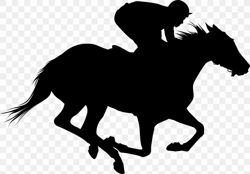 Thoroughbred The Kentucky Derby Horse Racing Equestrian Clip Art, PNG, 2400x1668px, Thoroughbred, Belmont Park, Black And White, Bridle, Derby Download Free