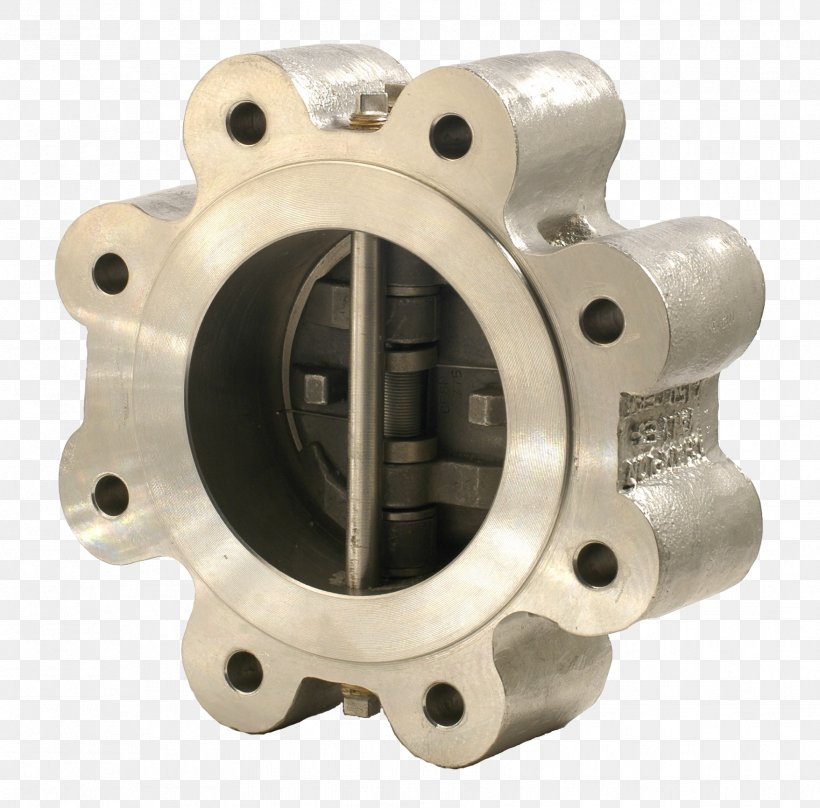 Check Valve Flange Stainless Steel Alloy 20, PNG, 1756x1732px, Check Valve, Alloy, Alloy 20, Control Valves, Flange Download Free