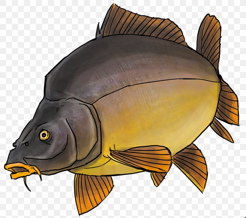 Koi Northern Pike Carp Ray-finned Fishes Goldfish, PNG, 1057x938px, Koi, Bonyfish, Carp, Carp Fishing, Common Carp Download Free