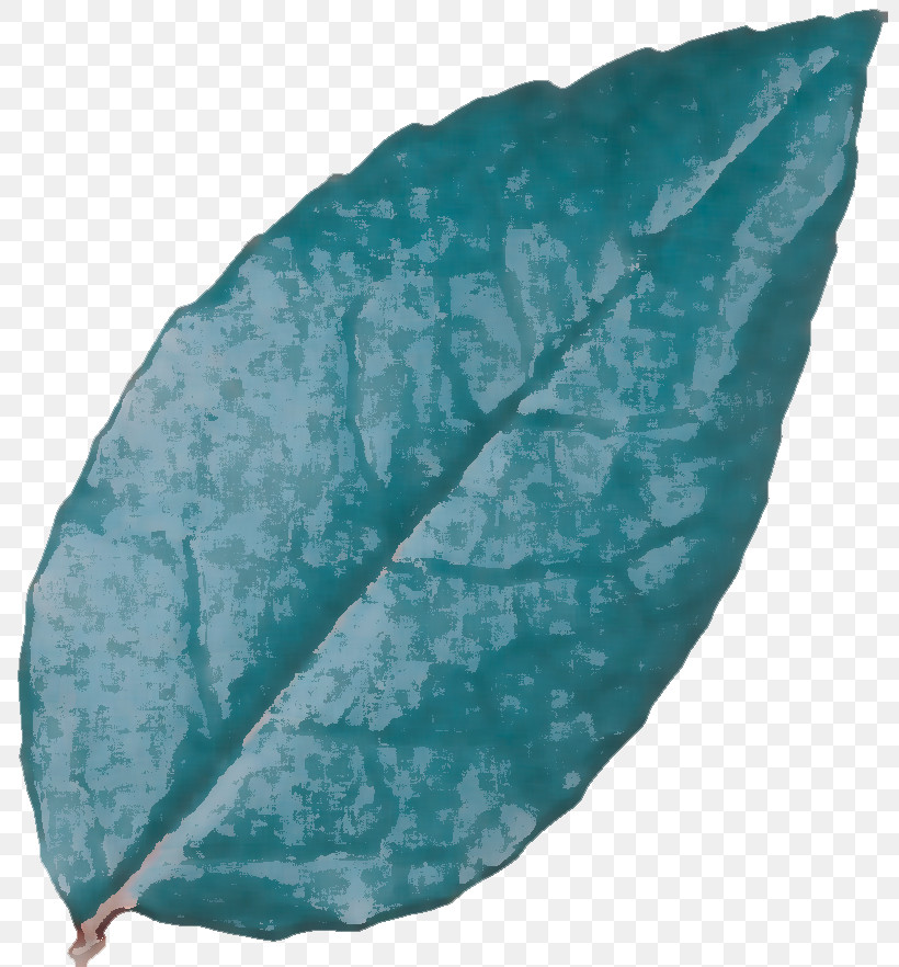 Leaf Turquoise Science Biology Plant Structure, PNG, 800x882px, Leaf, Biology, Plant Structure, Plants, Science Download Free