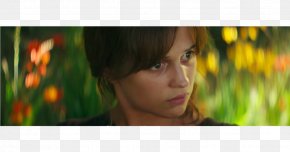 Alicia Vikander - Alicia Vikander Euphoria Trailer Film Director PNG