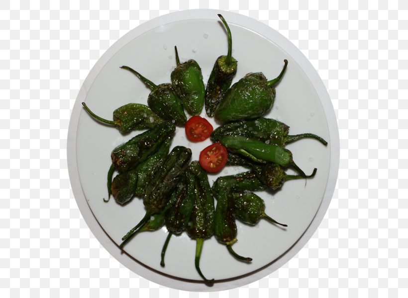 Bird's Eye Chili Pasilla Chili Pepper Peperoncino Recipe, PNG, 600x600px, Pasilla, Bell Peppers And Chili Peppers, Capsicum Annuum, Chili Pepper, Dish Download Free