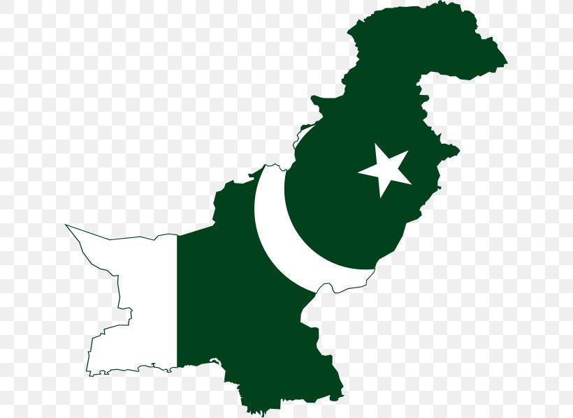 Flag Of Pakistan Map, PNG, 635x599px, Pakistan, Black And White, File Negara Flag Map, Flag Of Pakistan, Grass Download Free