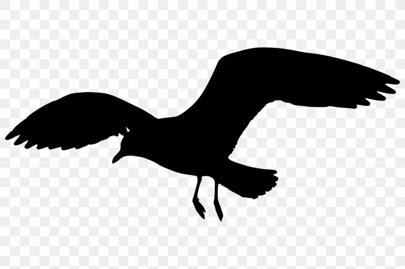 Gulls Silhouette Clip Art, PNG, 1280x853px, Gulls, Beak, Bird, Black And White, Crane Download Free