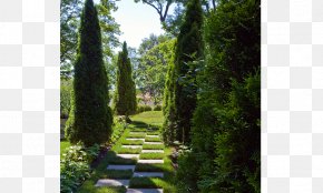 Landscape Design Flora Window Garden PNG