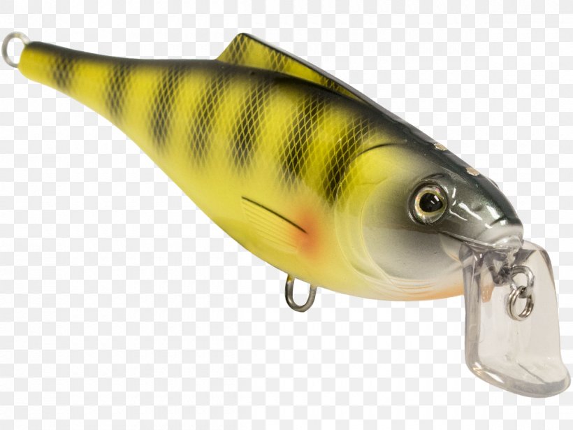 Perch Spoon Lure Osmeriformes Oily Fish, PNG, 1200x900px, Perch, Ac Power Plugs And Sockets, Bait, Bony Fish, Fish Download Free