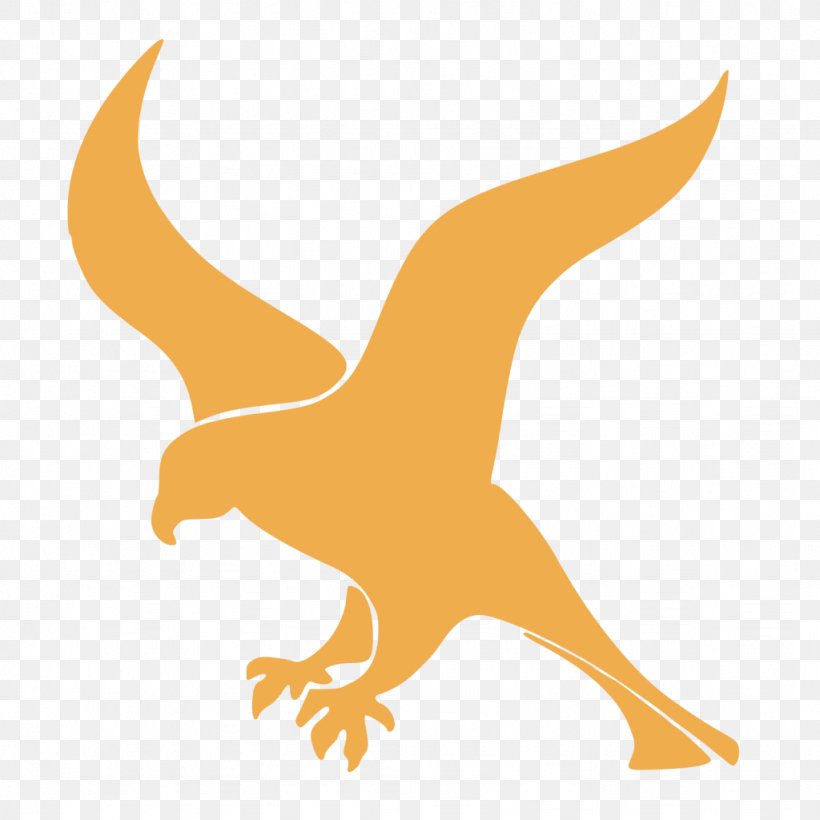 Wright Elementary School Falcon Web Framework Beak Software Framework, PNG, 1024x1024px, Falcon, Application Programming Interface, Beak, Bird, Bird Of Prey Download Free