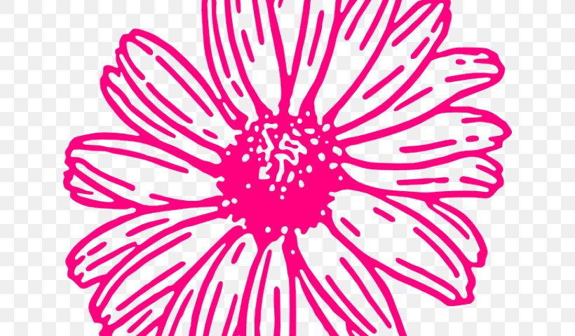 Clip Art Transvaal Daisy Illustration Drawing Flower, PNG, 640x480px, Transvaal Daisy, Art, Artwork, Common Daisy, Common Sunflower Download Free