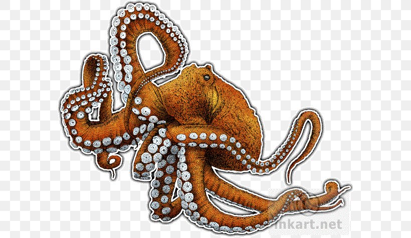 Giant Pacific Octopus The Love Letter Cephalopod Art, PNG, 590x474px, Octopus, Animal, Art, Canvas, Canvas Print Download Free