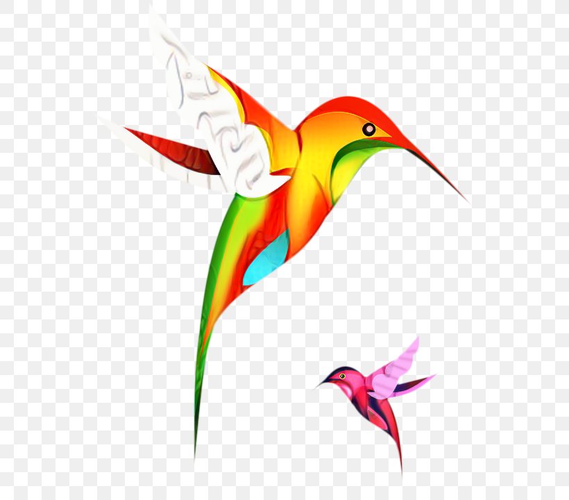 Hummingbird Drawing, PNG, 576x720px, Hummingbird, Beak, Bird, Drawing, Heliconia Download Free