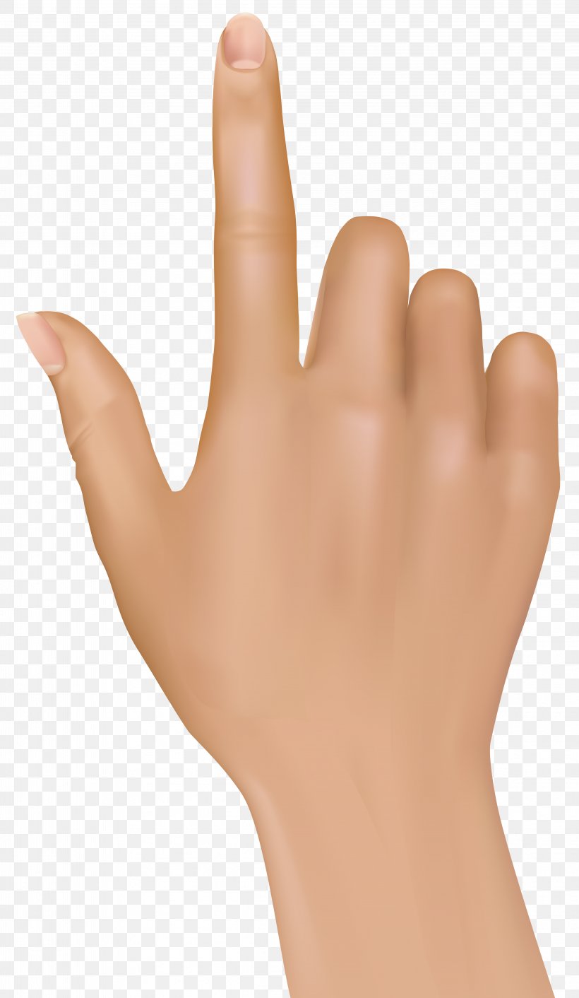 Index Finger Hand Clip Art, PNG, 4643x8000px, Finger, Arm, Gesture, Hand, Hand Model Download Free