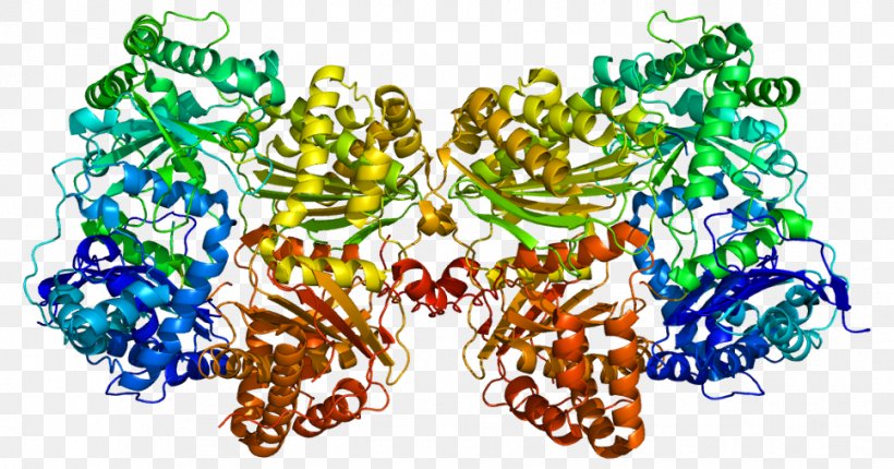 Protein Enzyme RNA Biology Biochemistry, PNG, 966x507px, Protein, Biochemistry, Biology, Butterfly, Catalysis Download Free