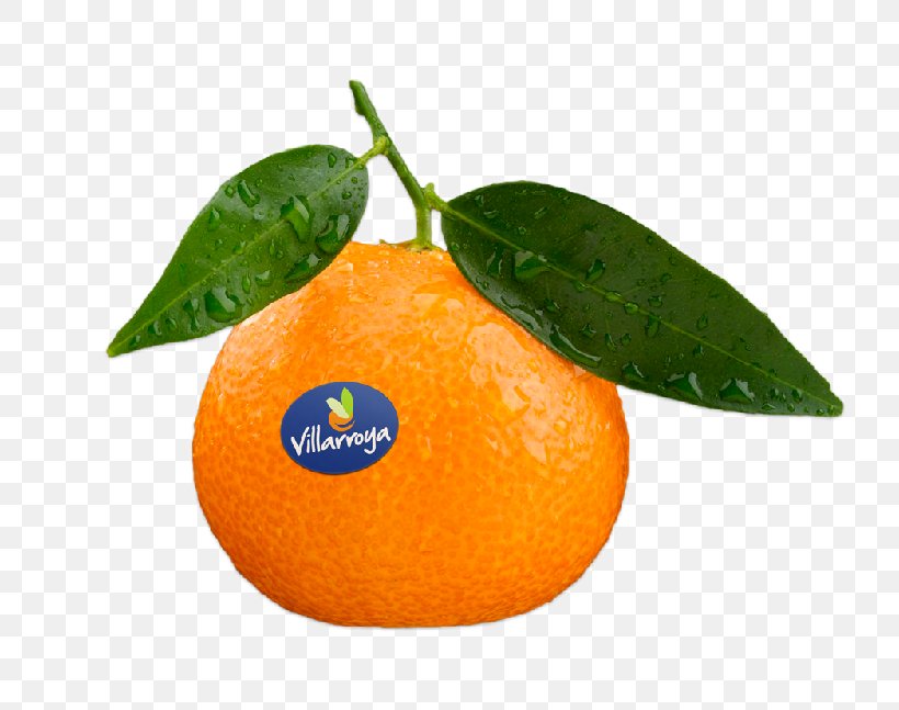 Clementine Mandarin Orange Tangerine Rangpur Tangelo, PNG, 791x647px, Clementine, Acid, Bitter Orange, Blood, Blood Orange Download Free