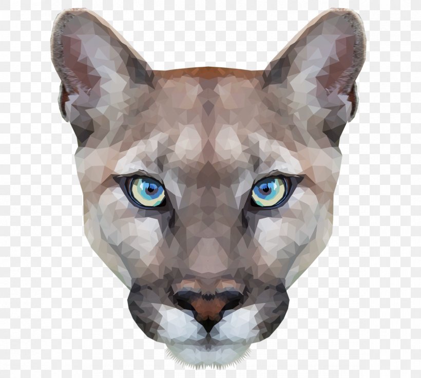 Cougar Cat, PNG, 1185x1064px, Cougar, Animal Jam Clans, Big Cat, Big Cats, Carnivoran Download Free