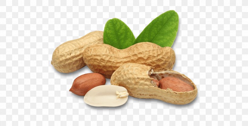 Peanut Nut Food Legume Plant, PNG, 2453x1248px, Peanut, Food, Fruit, Ingredient, Legume Download Free