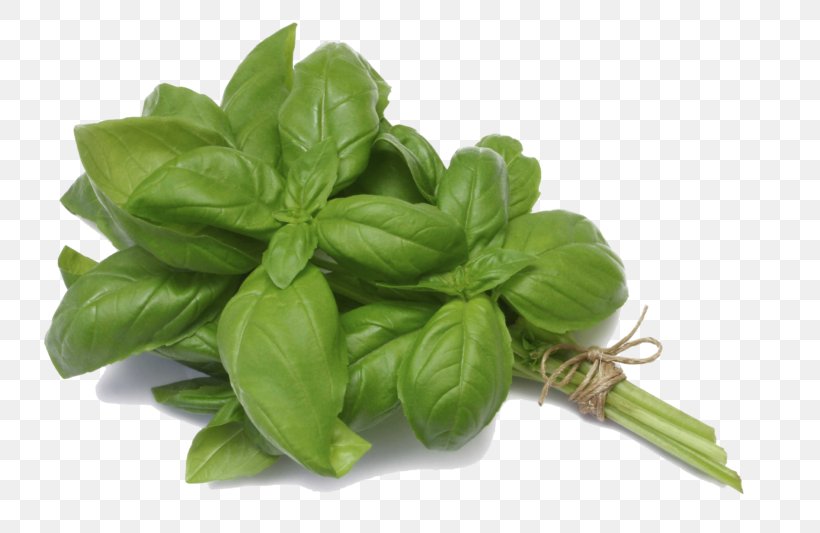 Basil Mediterranean Cuisine Herb Thyme Mints, PNG, 800x533px, Basil, Cooking, Flavor, Food, Fruit Download Free