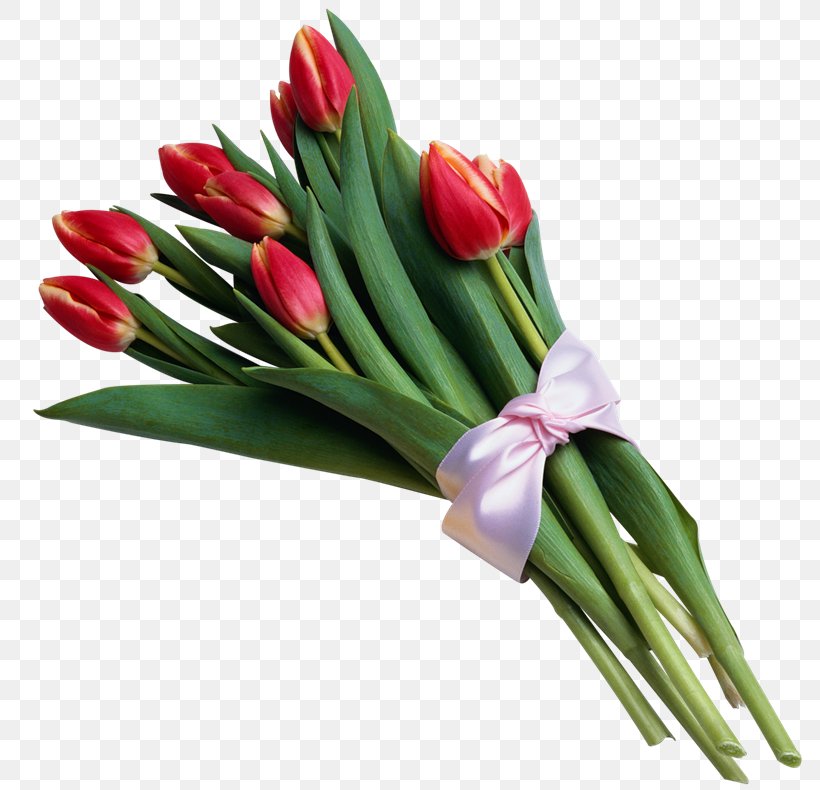 Flower Bouquet Tulip Cut Flowers Clip Art, PNG, 800x790px, Flower Bouquet, Cut Flowers, Floral Design, Floristry, Flower Download Free