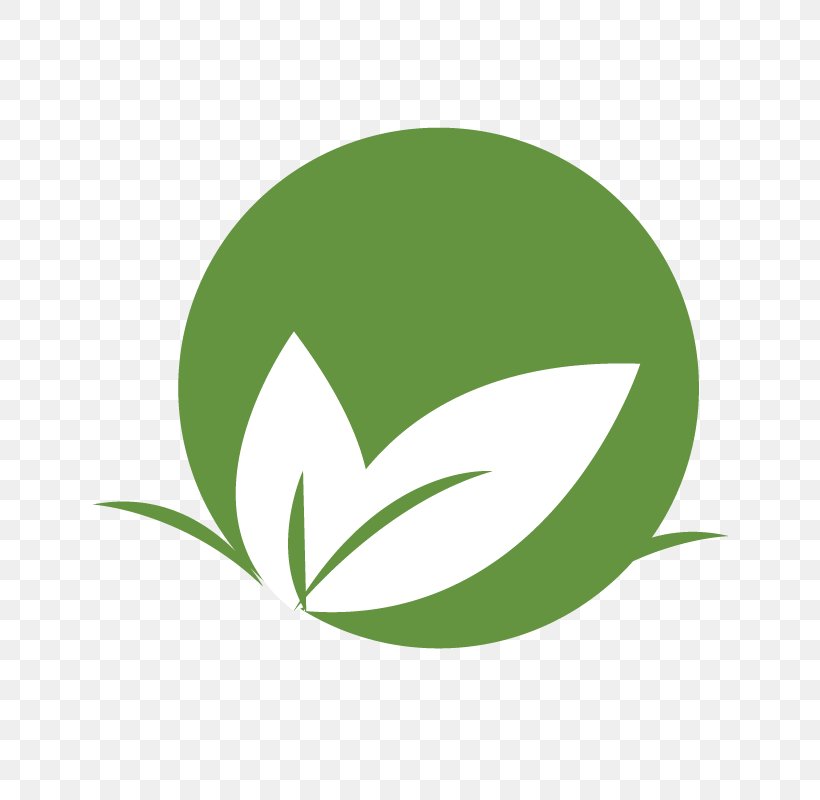 Logo Leaf Brand Line Font, PNG, 800x800px, Logo, Brand, Grass, Green, Leaf Download Free