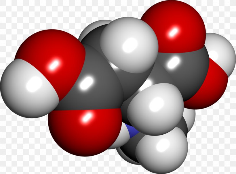 N-Methyl-D-aspartic Acid Space-filling Model Methyl Group, PNG, 1200x888px, Aspartic Acid, Acid, Agonist, Amino Acid, Arginine Download Free