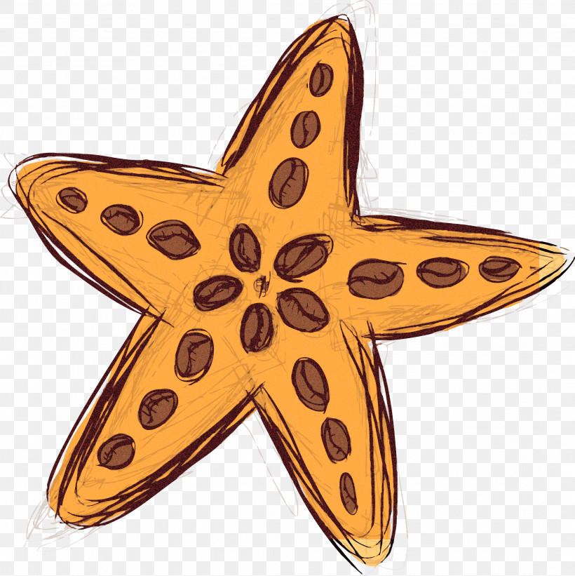 Star Starfish, PNG, 2183x2187px, Star, Starfish Download Free