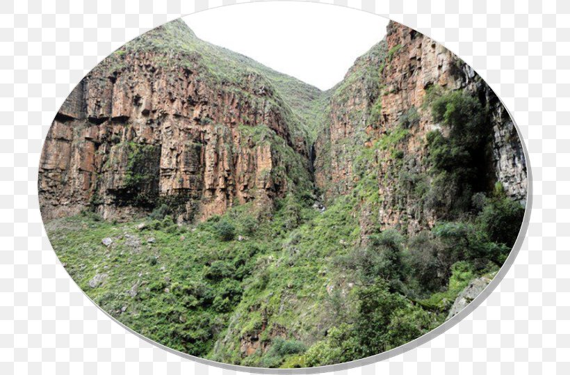 Tarija Nature Reserve Vegetation National Park Outcrop, PNG, 714x539px, Tarija, Biome, Bolivia, Escarpment, Formation Download Free