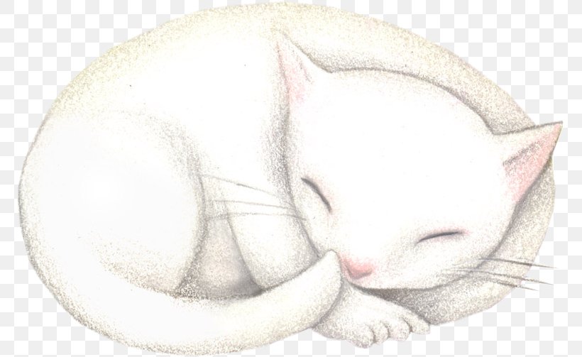 Whiskers Kitten Drawing Snout, PNG, 773x503px, Whiskers, Artwork, Carnivoran, Cat, Cat Like Mammal Download Free