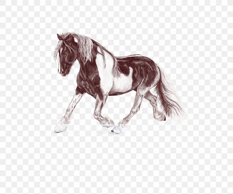 Horse Mane Animal Figure Stallion Shetland Pony, PNG, 1920x1600px, Horse, Animal Figure, Drawing, Mane, Mare Download Free