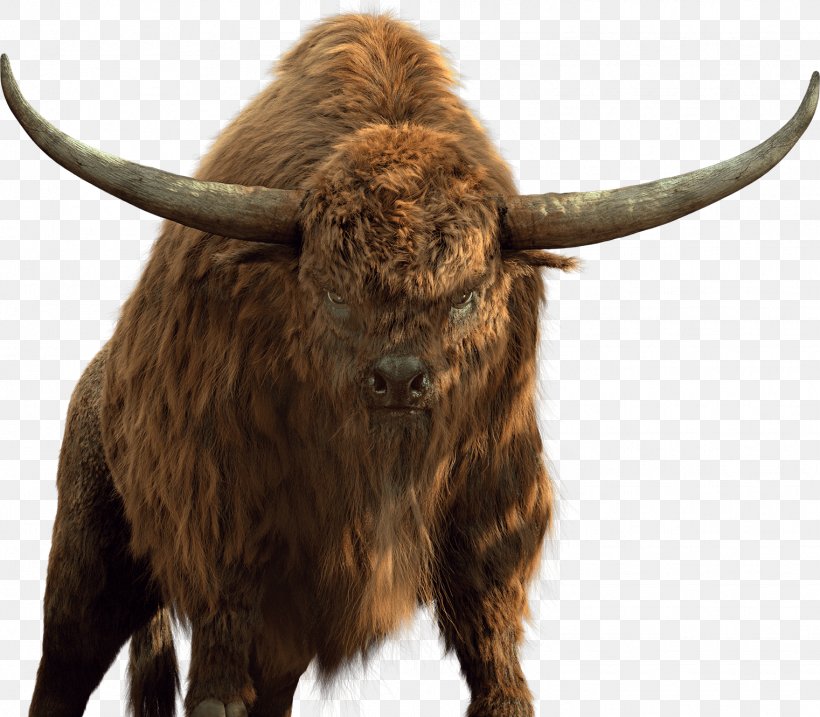 Texas Longhorn Domestic Yak Bison English Longhorn Ox, PNG, 1522x1332px, Texas Longhorn, Animal, Bison, Bull, Cattle Like Mammal Download Free