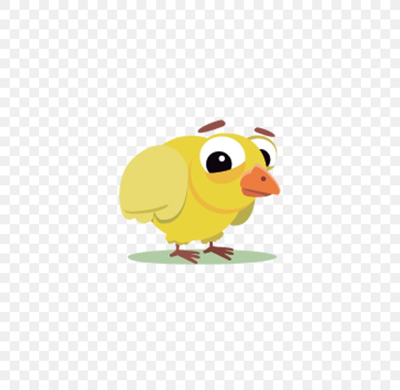 Bird Chicken Cartoon, PNG, 800x800px, Bird, Beak, Cartoon, Chicken, Drawing Download Free
