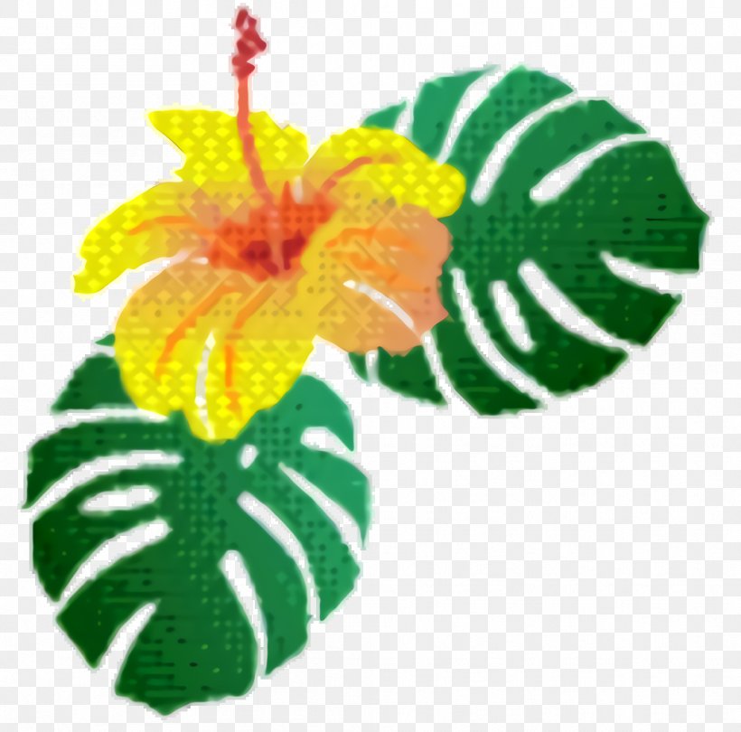 Hawaiian Flower, PNG, 1012x1000px, Petal, Anthurium, Flower, Hawaiian Hibiscus, Hibiscus Download Free