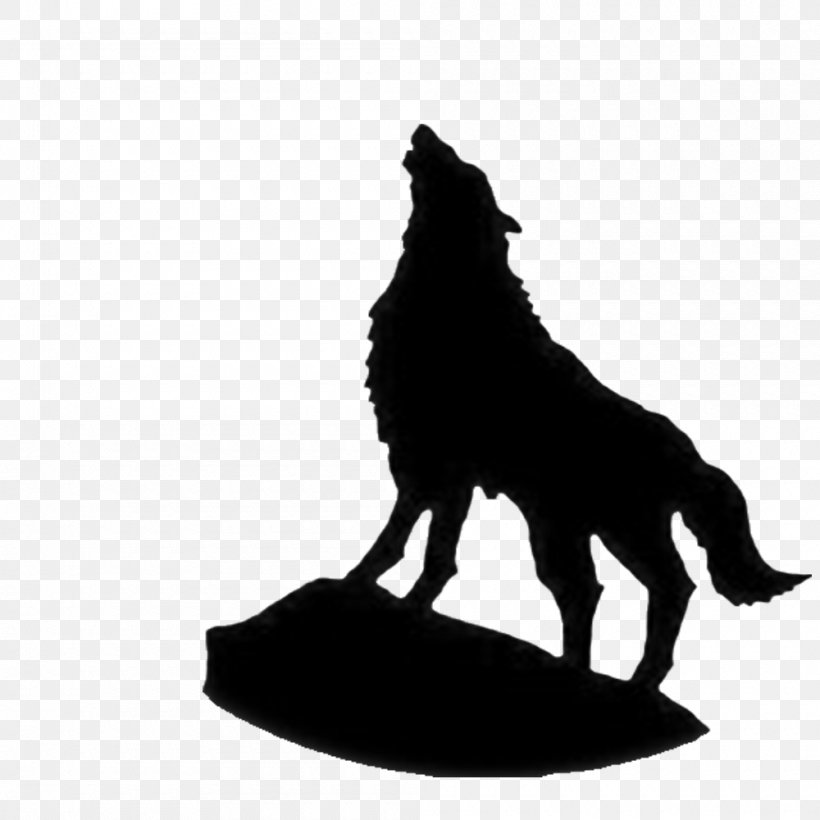 Indian Wolf Samsung Galaxy S9 Screensaver Wallpaper, PNG, 1000x1000px, Indian Wolf, Android, Black, Black And White, Dog Download Free