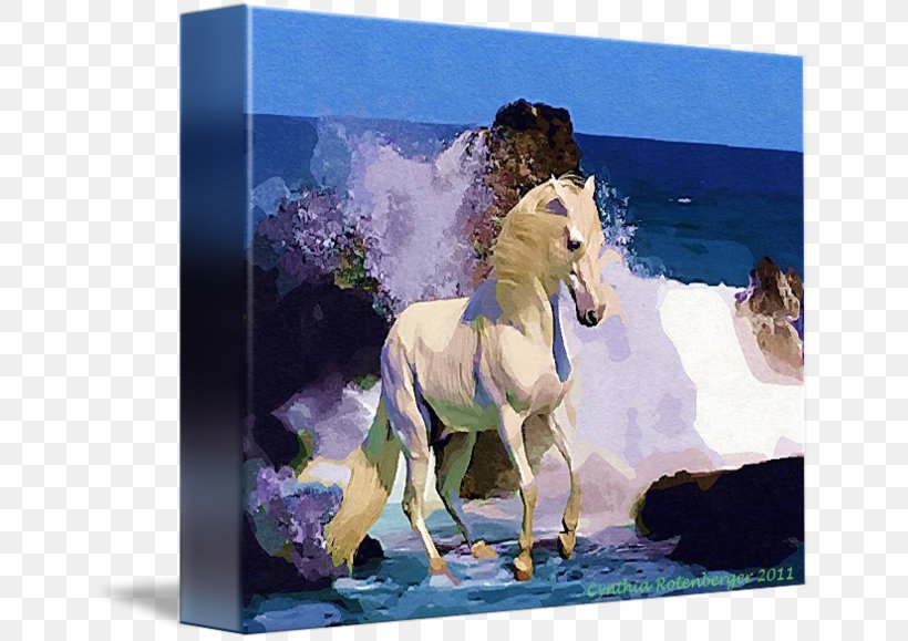 Stallion Camargue Horse Mustang Pony Rearing, PNG, 650x579px, Stallion, Animal, Camargue Horse, Equus, Fauna Download Free