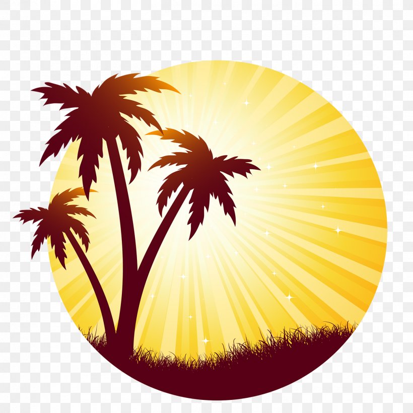 Arecaceae Silhouette Sunset, PNG, 1417x1418px, Arecaceae, Beach, Flower, Flowering Plant, Fotosearch Download Free