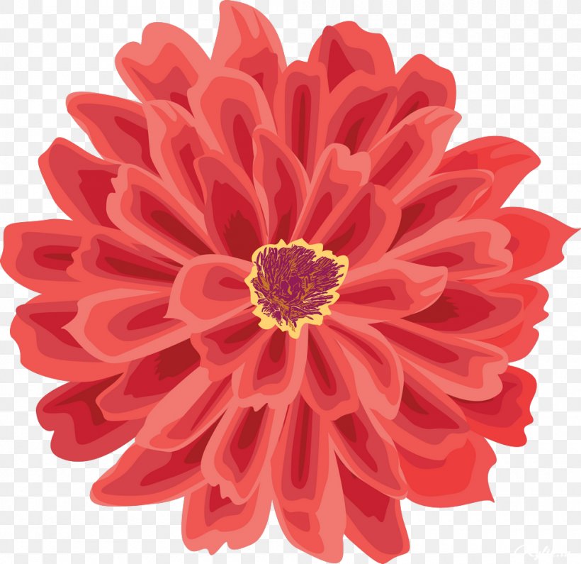 Drawing Clip Art, PNG, 1000x970px, Drawing, Chrysanths, Cut Flowers, Dahlia, Daisy Family Download Free