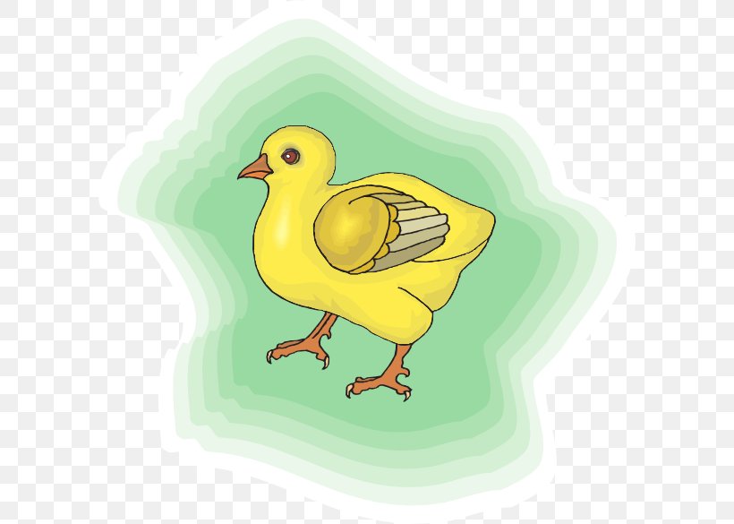 Chicken, PNG, 600x585px, Chicken, Art, Beak, Bird, Duck Download Free