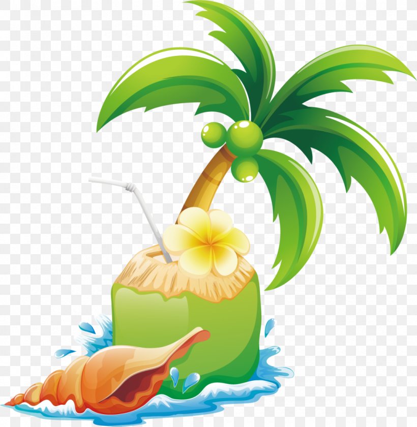 Coconut Tree Drawing, PNG, 1080x1107px, Picture Frames, Arecales, Beach, Coconut, Drawing Download Free