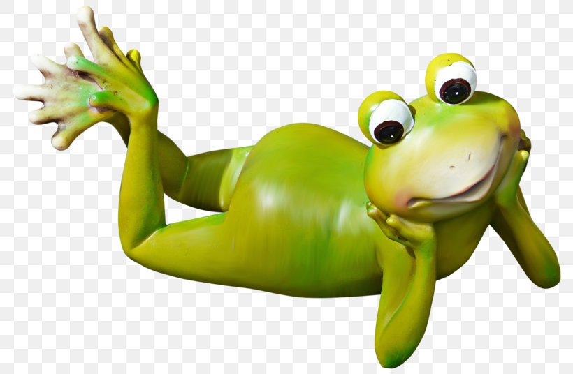 Frog Responsive Web Design Drawing, PNG, 800x536px, Frog, Amphibian, Drawing, Graphic Designer, Information Download Free