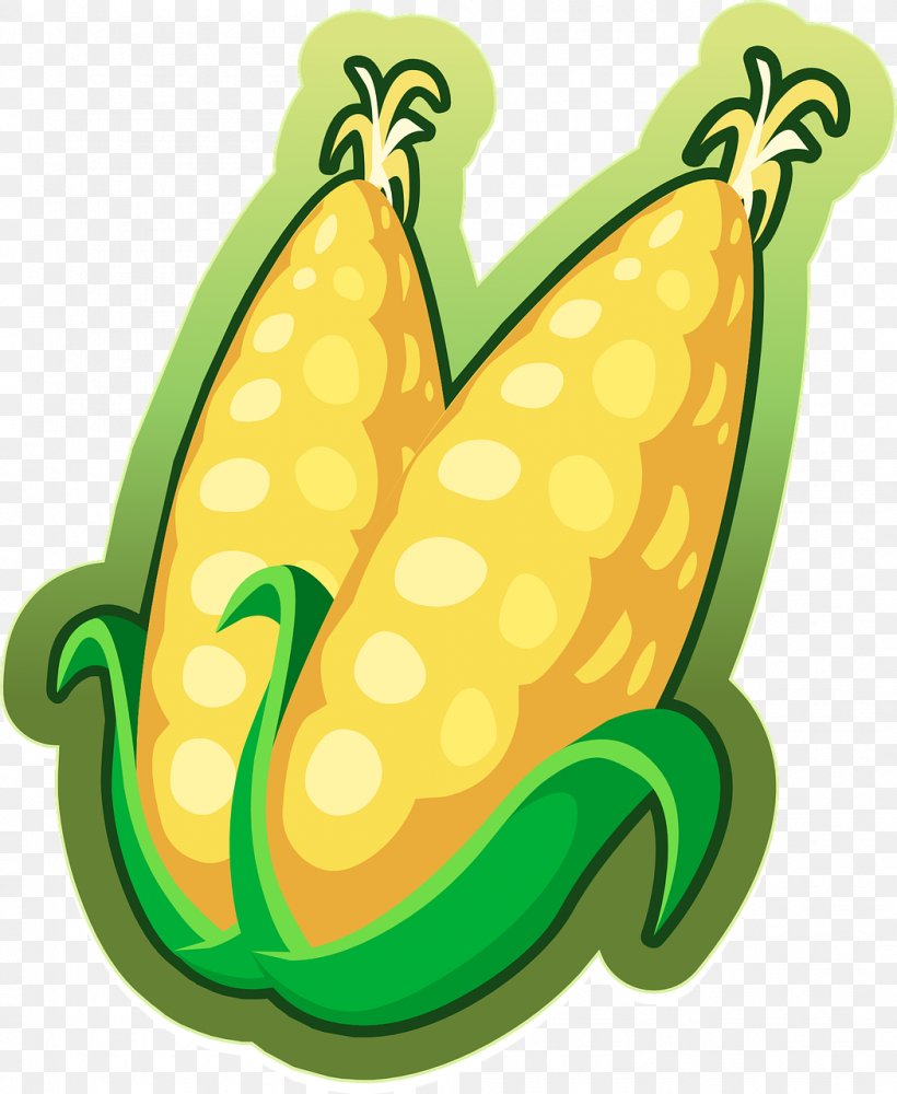 Maize Clip Art, PNG, 1049x1280px, Maize, Agriculture, Amphibian, Banana, Banana Family Download Free