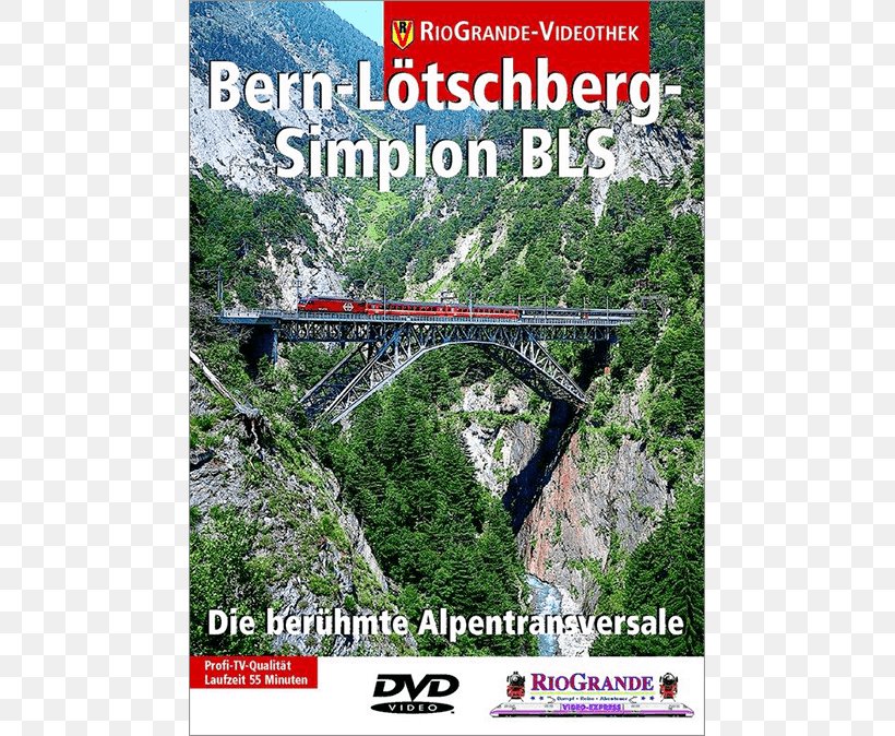 Rail Transport Bern–Lötschberg–Simplon Railway Chemin De Fer Gürbetal–Bern–Schwarzenburg Simplon Tunnel BLS AG, PNG, 675x674px, Rail Transport, Bern, Bls Ag, Bridge, Dvd Download Free