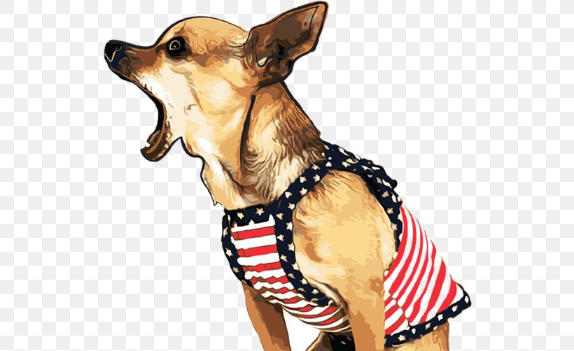 Chihuahua Puppy Bichon Frise Bark Yorkshire Terrier, PNG, 624x502px, Chihuahua, Bark, Bichon, Bichon Frise, Carnivoran Download Free