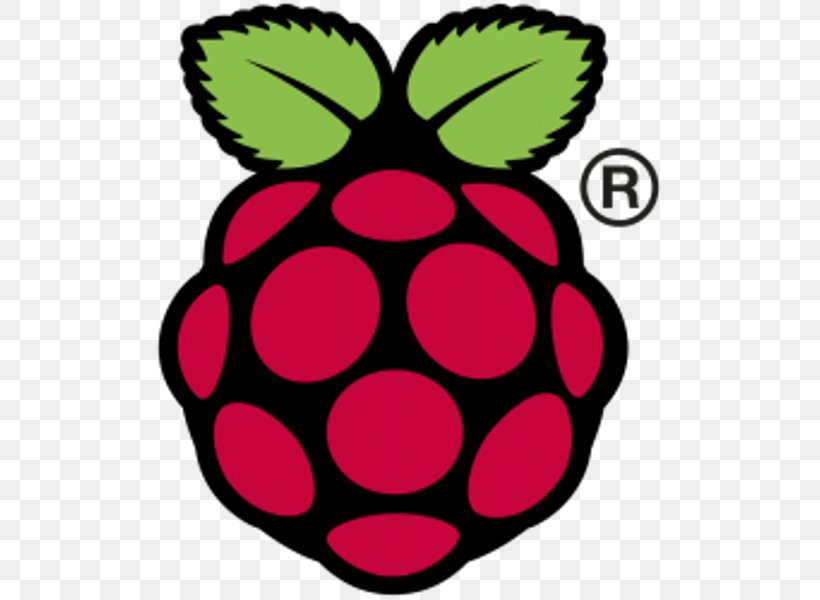 Raspberry Pi Foundation NOOBS Raspberry Pi 3 Input/output, PNG, 509x600px, Raspberry Pi, Arduino, Computer Software, Do It Yourself, Flower Download Free