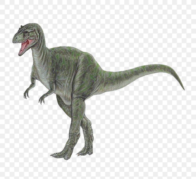 Tyrannosaurus Allosaurus Stegosaurus Dinosaur Apatosaurus, PNG, 750x750px, Tyrannosaurus, Allosaurus, Animal, Apatosaurus, Data Download Free