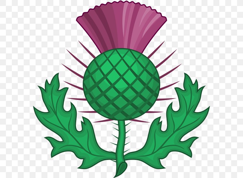 National Symbols Of Scotland Thistle National Emblem Onopordum Acanthium, PNG, 600x600px, Scotland, Artwork, Ball, Coat Of Arms, Emblem Download Free