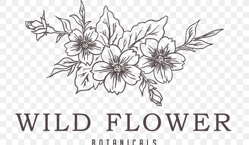 Paper Vector Graphics Drawing Floral Design, PNG, 720x479px, Paper, Area, Artwork, Black And White, Coffee Download Free