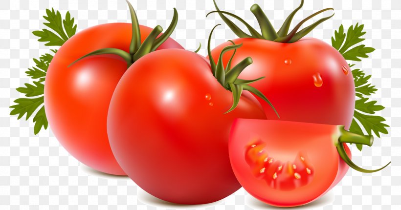 Tomato Cartoon, PNG, 1200x630px, Vegetable, Bell Pepper, Bush Tomato, Can, Cherry Tomatoes Download Free