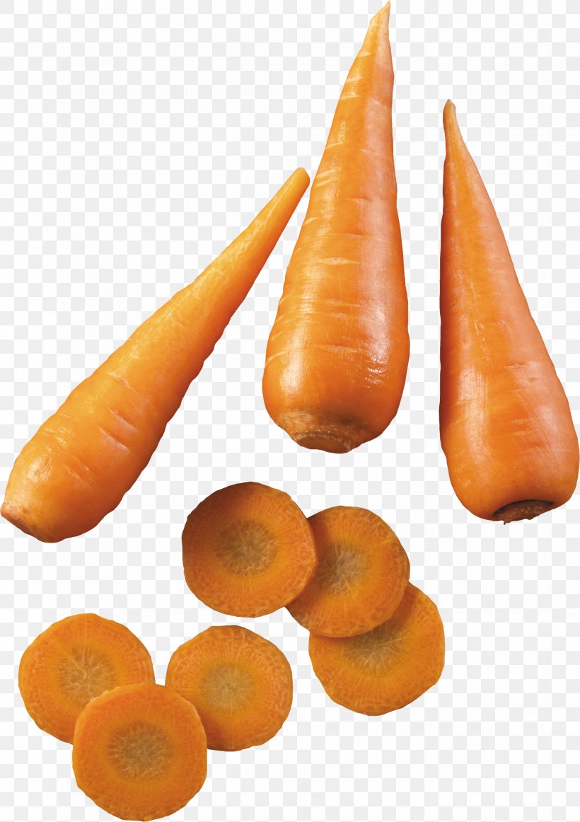 Carrot Soup Root Vegetables, PNG, 2474x3506px, Carrot, Baby Carrot, Bockwurst, Carrot Chip, Carrot Soup Download Free