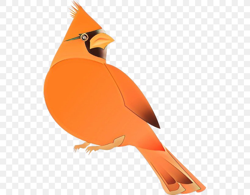 Orange, PNG, 533x640px, Cartoon, Beak, Bird, Cardinal, Orange Download Free