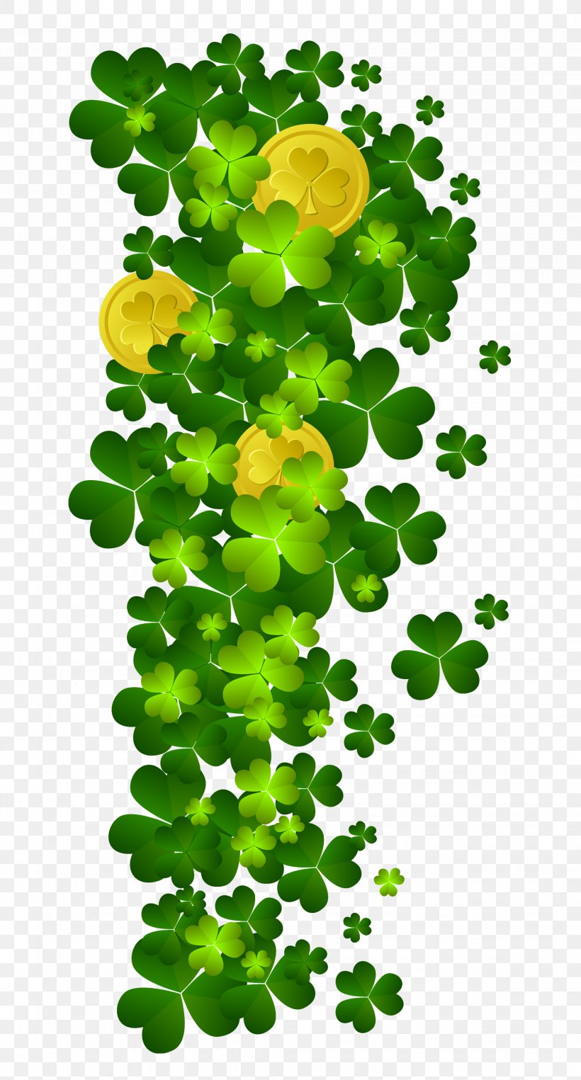Shamrock Saint Patrick's Day Clip Art, PNG, 2056x3826px, Ireland, Branch, Flora, Flowering Plant, Grass Download Free